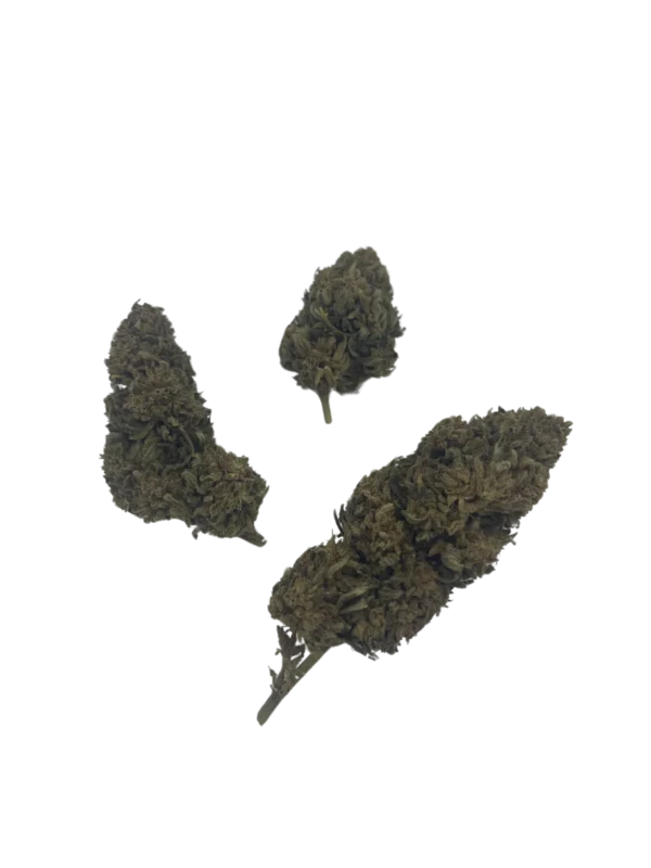 Susz Konopny CBD OG Gorilla Kush z akcyzą - Image 2
