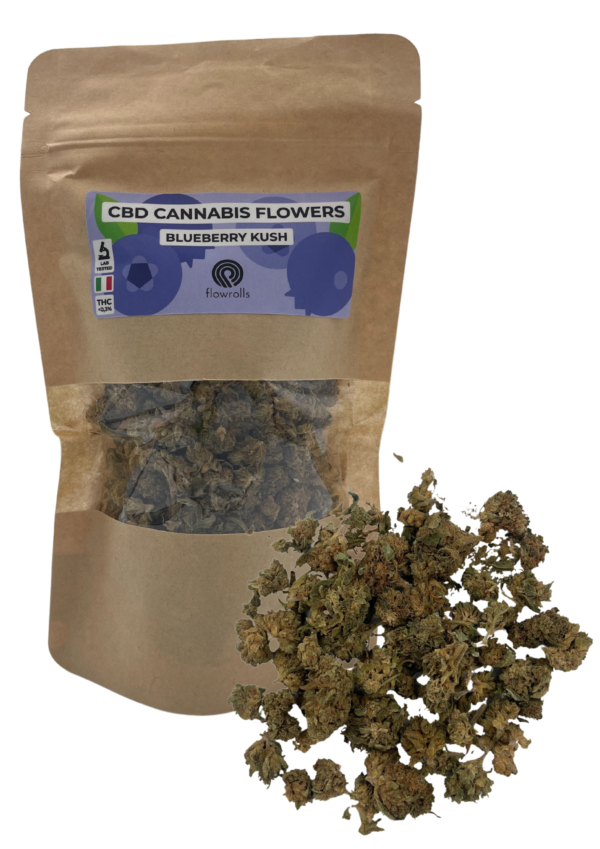 Blueberry Kush - Image 2